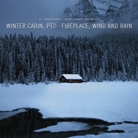 Winter Cabin, Fireplace, Wind and Rain ft. Naturalis & Sleep Sounds | Boomplay Music