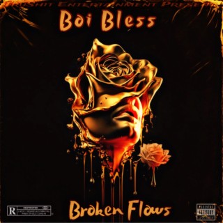 Broken Flows