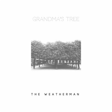 Grandma's Tree | Boomplay Music