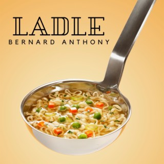 Ladle