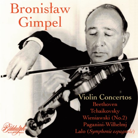 Violin Concerto in D, Op.61: I. Allegro ma non troppo ft. Heinrich Hollreiser & Bamberg Symphony Orchestra | Boomplay Music