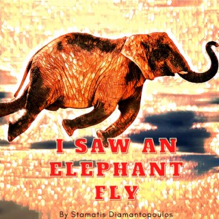 I saw an elephant fly