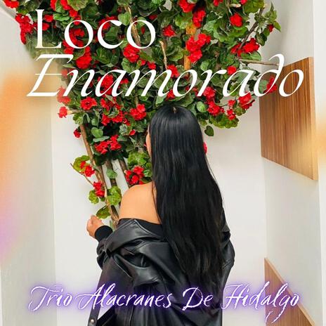 Loco Enamorado | Boomplay Music