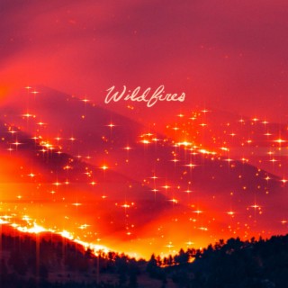 Wildfires