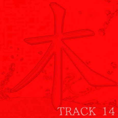 TRACK 14 | Boomplay Music