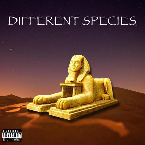 Different Species ft. King.Bo. | Boomplay Music