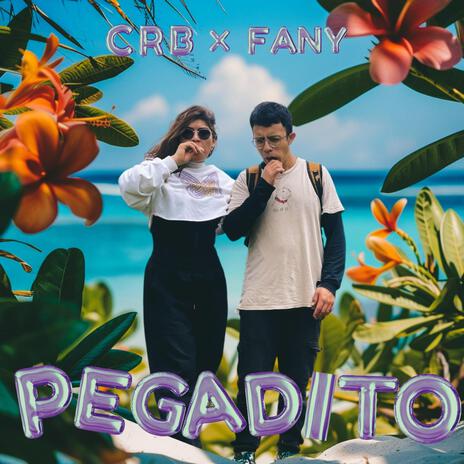 Pegadito ft. Fany | Boomplay Music