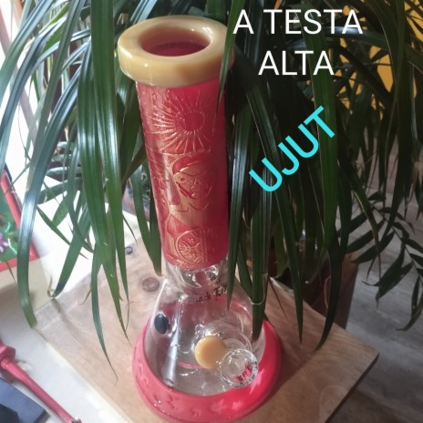 A Testa Alta | Boomplay Music