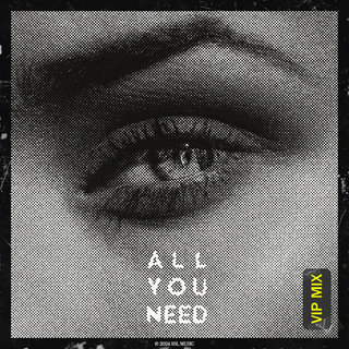 All You Need (VIP Mix)