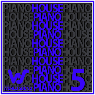 World Sound Piano House #5