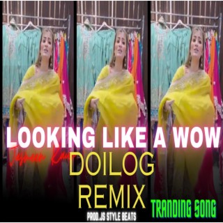 Just Looking Like A Wow (Mix)