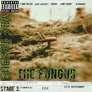 The Fungus