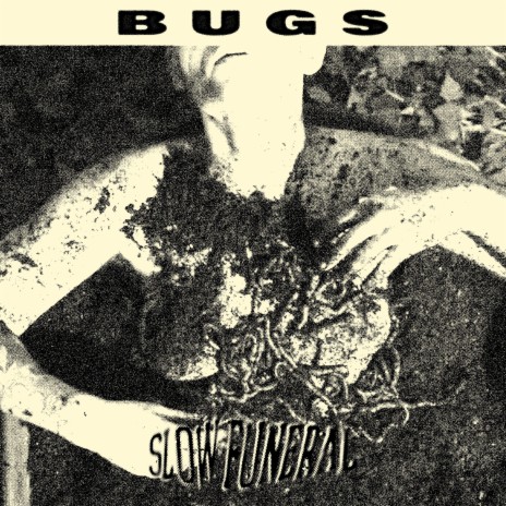 Bugs | Boomplay Music