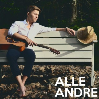 Alle Andre lyrics | Boomplay Music