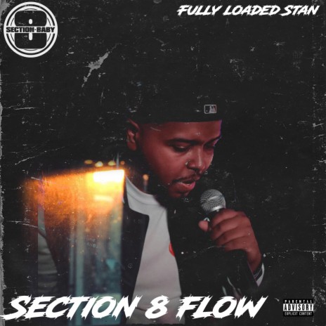 Section 8 Flow | Boomplay Music