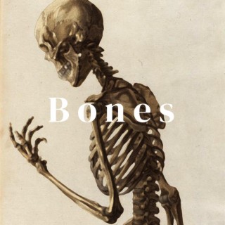 Bones