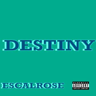 Destiny