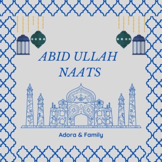 PASHTO NEW NAATS ABID ULLAH VOL 2