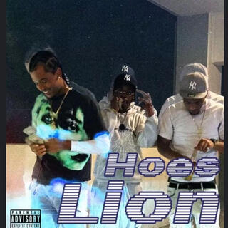 Hoes Lion