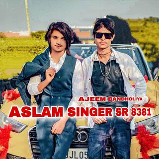 Aslam Singer SR 8381