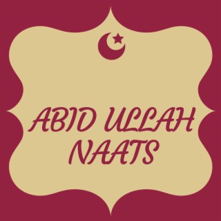 PASHTO NEW NAATS ABID ULLAH VOL 3