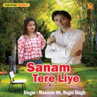 Sanam Tere Liye