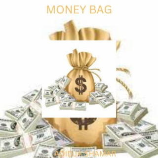 Money Bag