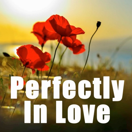 Perfectly in Love | Boomplay Music