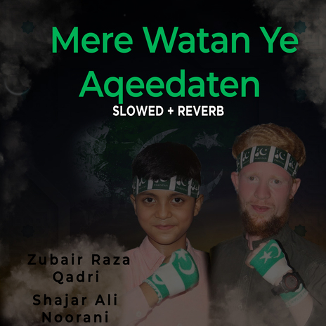 Mere Watan Ye Aqeedaten (Lofi-Mix) ft. Shajar Ali Noorani | Boomplay Music