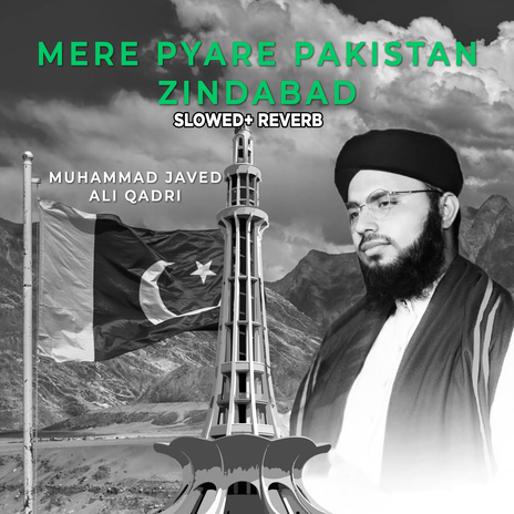 Mere Pyare Pakistan Zindabad (Lofi-Mix) | Boomplay Music