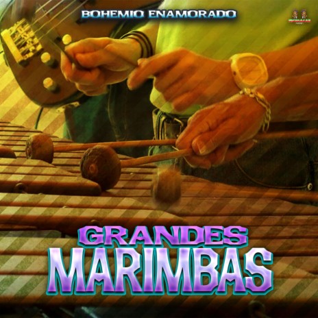 Usa Mi Anillo Alrededor De Tu Cuello ft. Marimba | Boomplay Music