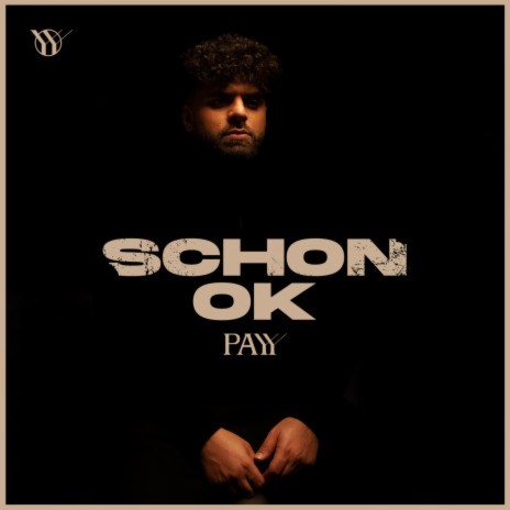 Schon ok | Boomplay Music