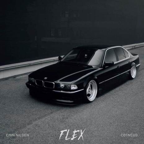 FLEX ft. Cotneus | Boomplay Music