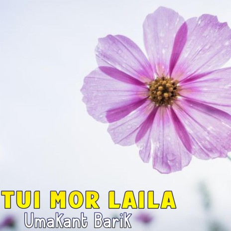 Tui Mor Laila | Boomplay Music