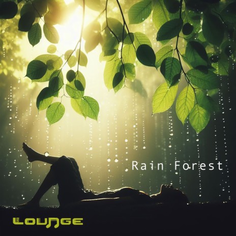 Rain Forest | Boomplay Music