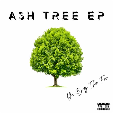 Ash Tree (Freestyle)