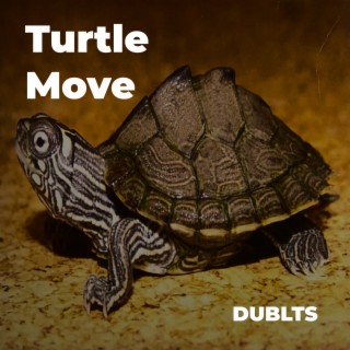 Turtle Move