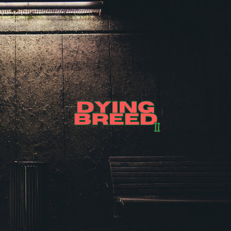 2 Step ft. Dying Breed | Boomplay Music