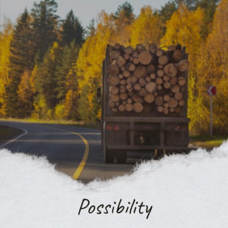 Possibility | Boomplay Music