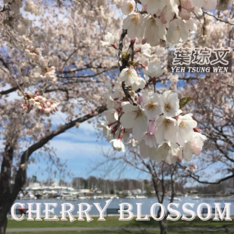 Cherry Blossom | Boomplay Music