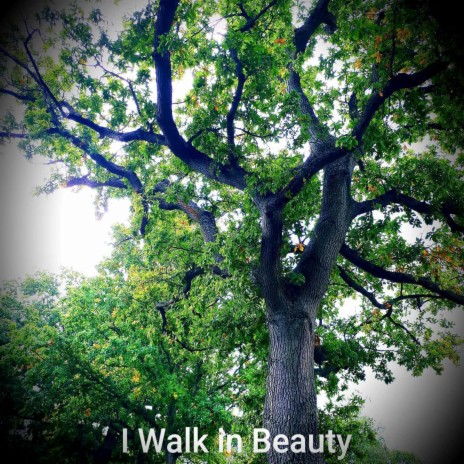 I Walk in Beauty | Boomplay Music