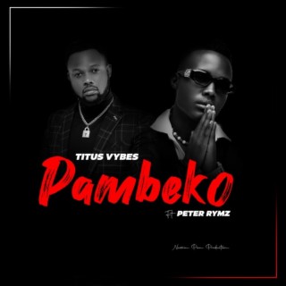 Pambeko ft. Peter Rymz lyrics | Boomplay Music