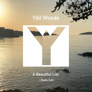 A Beautiful Liar (Radio Edit) lyrics | Boomplay Music