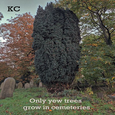 Only Yew Trees Grow in Cemeteries (Single Mix)