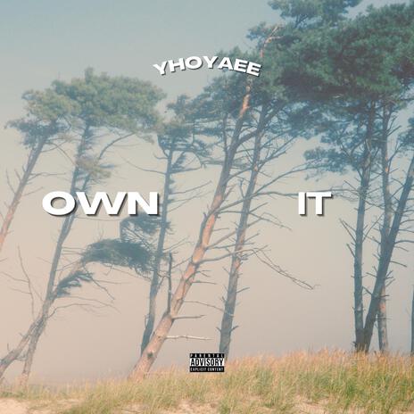 Own It | Boomplay Music