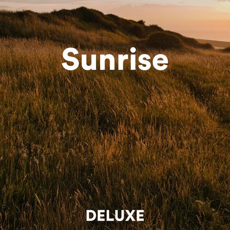 Sunrise | Boomplay Music