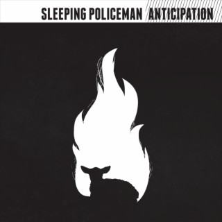 Sleeping Policeman