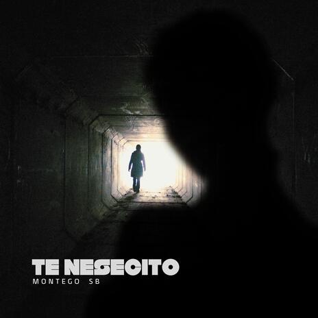 TE NESECITO | Boomplay Music