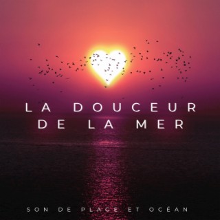 La Douceur De La Mer (Son De Plage Et Océan)