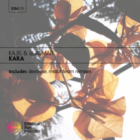 Kara (Mistol Team Remix) ft. Blaumar